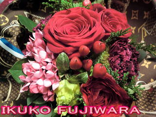 IKUKO FUJIWARA 